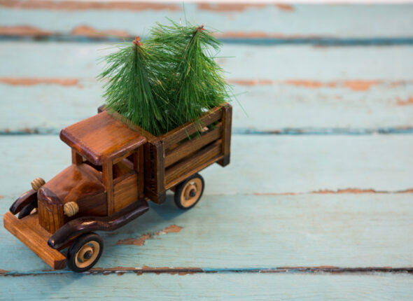 Sustainable Toys for an Eco-Friendly Christmas