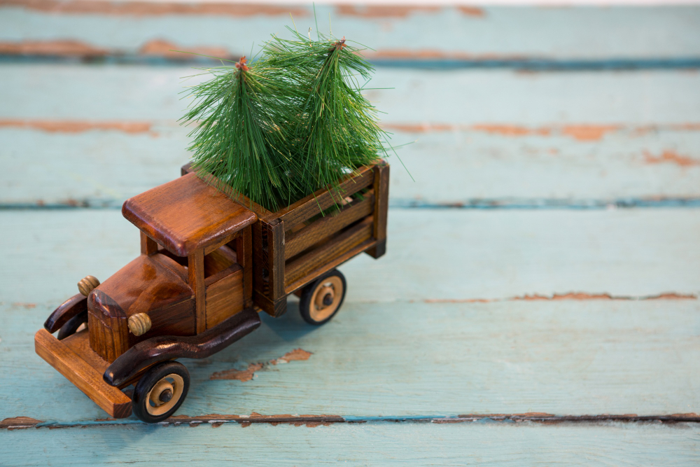 Sustainable Toys for an Eco-Friendly Christmas