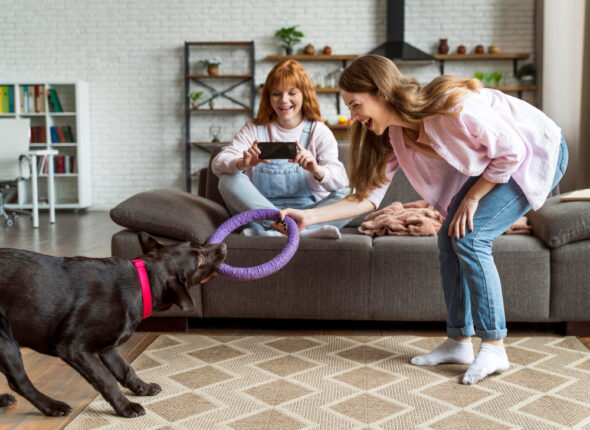 Toys and Games for Pet Owners Fun for Kids and Their Furry Friends